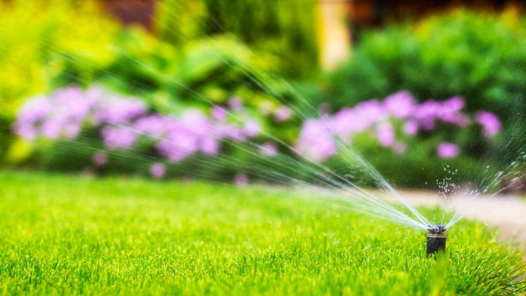 Thrive lawn sprinklers photo 2