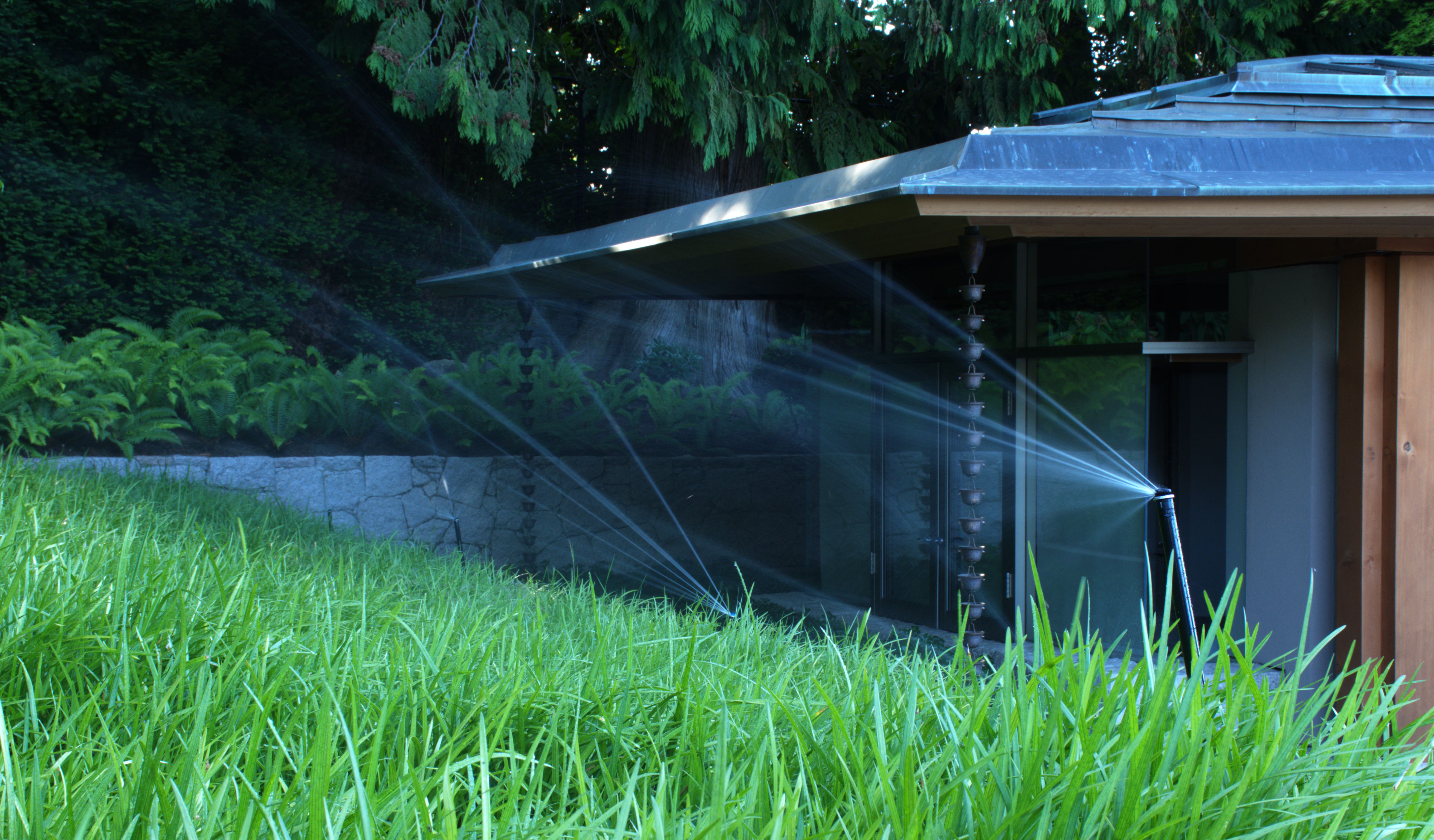 Thrive irrigation project photo MAS3825