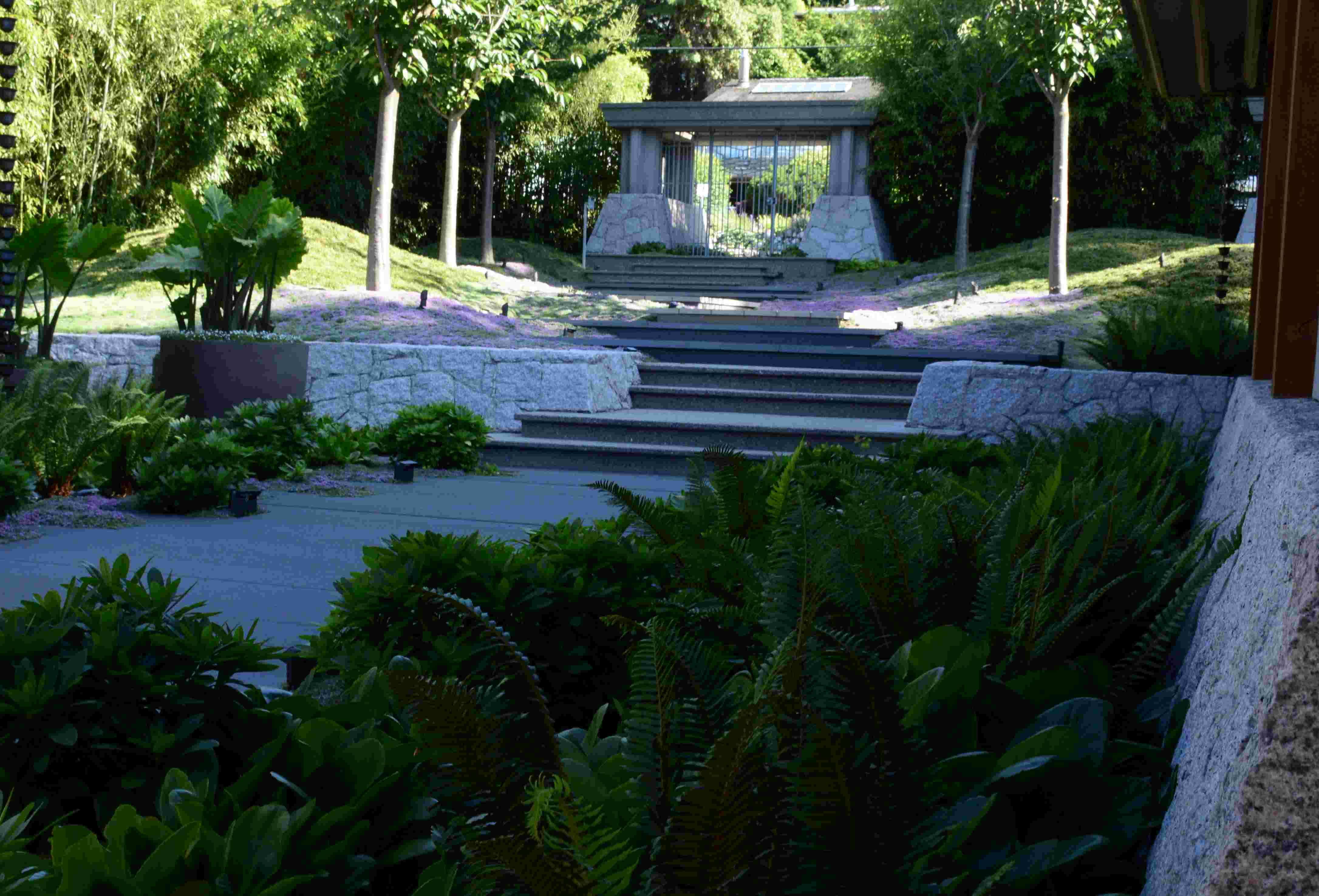 Thrive irrigation project photo 4