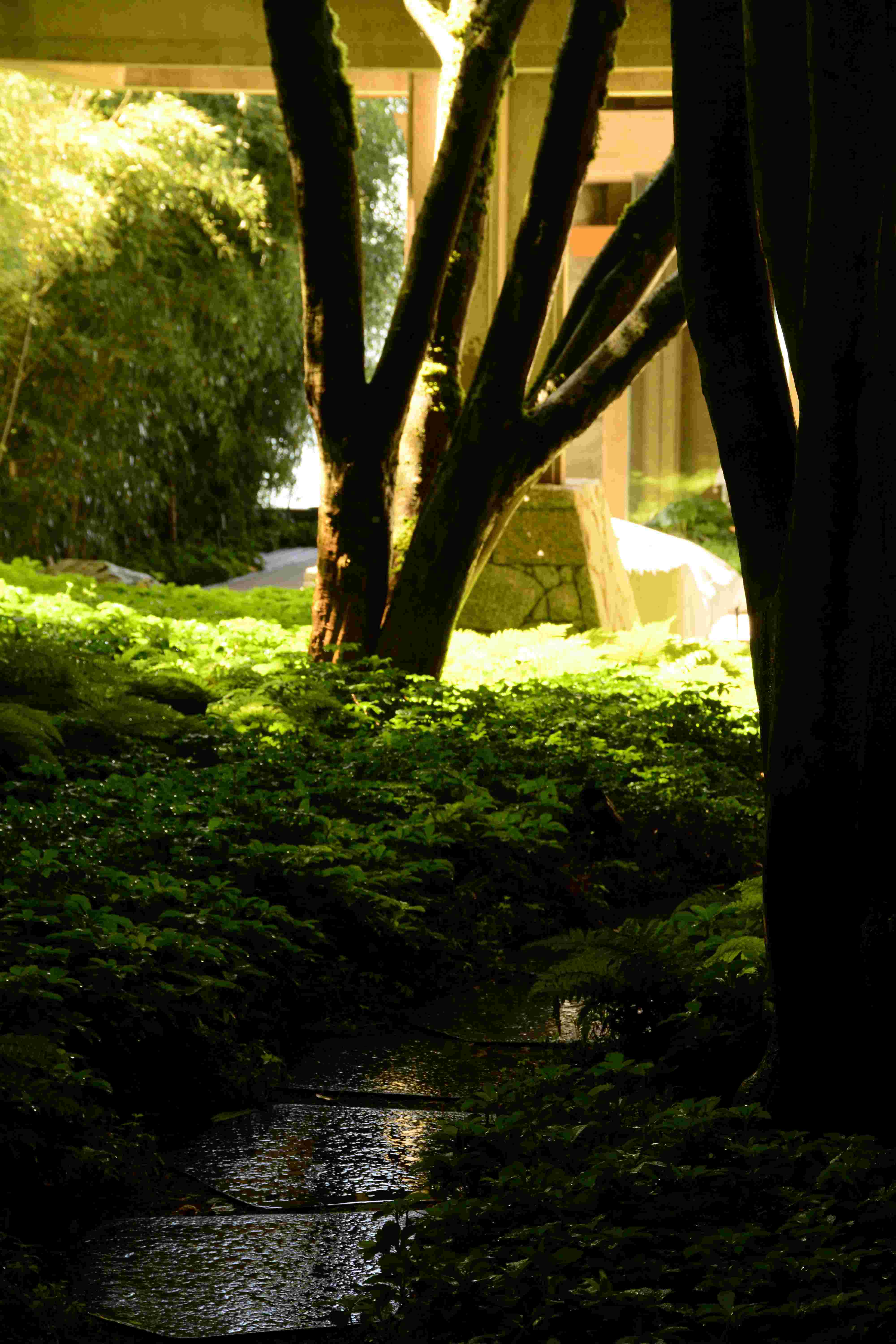 Thrive irrigation project photo 7